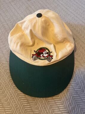 Vintage 90s Disney Mickey Mouse Golf Hat Mickey Unlimited Snapback Green Cream